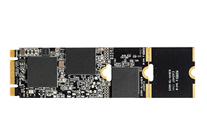 M.2 2280 SATA E231